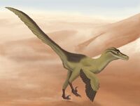 Linheraptor exquisitus.jpg
