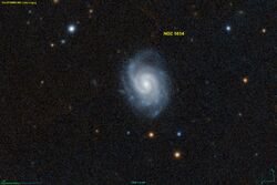 NGC 5034 PanS.jpg