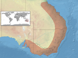 Pogona barbata distribution.png