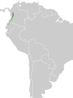 Tangara rufigula map.svg