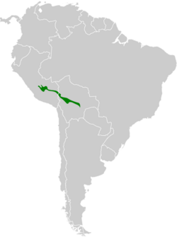 Zimmerius bolivianus map.svg