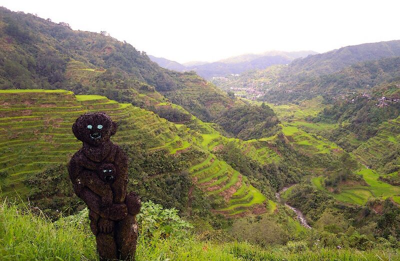 File:Banaue Rice Terraces and its statue friend.JPG