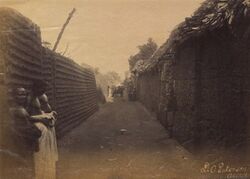 Benin wallsss.jpg