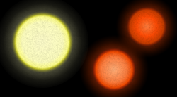 Diagram showing the size comparison between the two stars of the 61 Cygni binary system and the Sun.