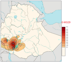 E-M329 distribution in Ethiopia.png