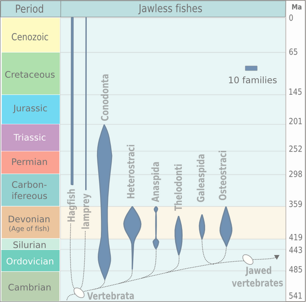 File:Evolution of jawless fish.png