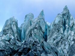 Fox Glacier, NZ.jpg