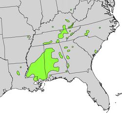 Magnolia macrophylla range map.jpg