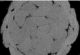 Micro-CT braided polymer rope 2D top view zoom.jpg