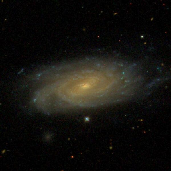 File:NGC1090 - SDSS DR14.jpg