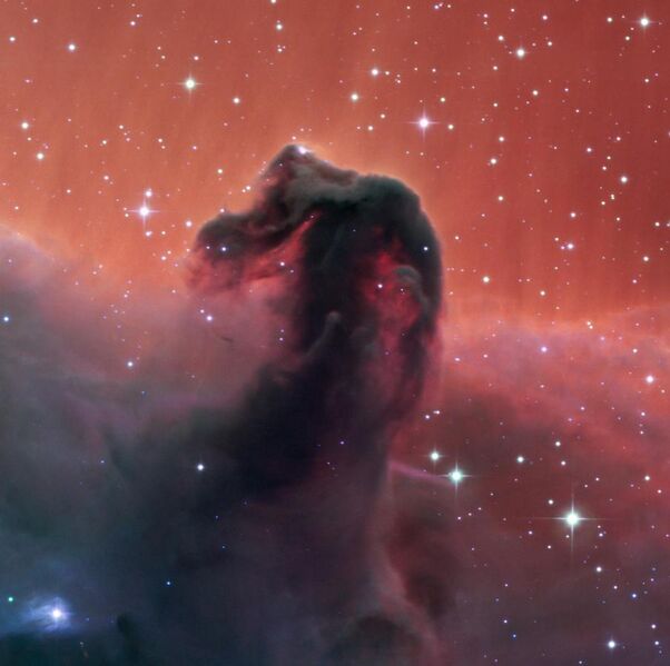File:Nebulosa testa di cavallo con SPECULOOS.jpg
