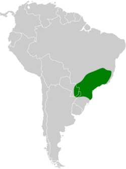 Phylloscartes eximius map.svg