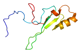 Protein MECP2 PDB 1qk9.png