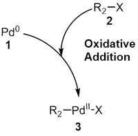 Oxidative addition step in Suzuki coupling.
