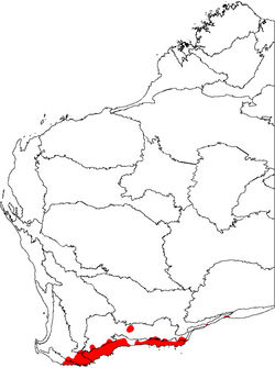 Adenanthos cuneatus map.png