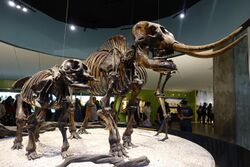 American mastodon with calf.jpg