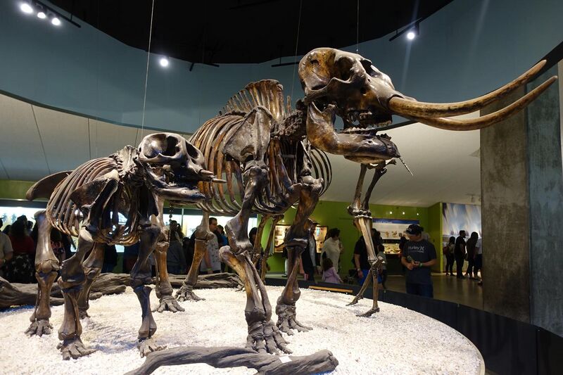 File:American mastodon with calf.jpg