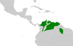 Campylorhynchus griseus map.svg