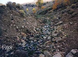 A rocky, brown stream bank mostly bare of vegetation, with a few aspen trees in the background