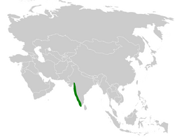 Galerida malabarica distribution map.png