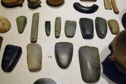 Photo of Neolithic tools on display