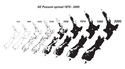 NZ possum spread 1870 - 1990.jpg