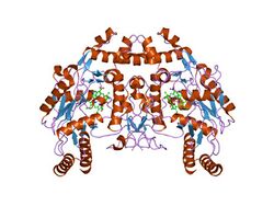 PDB 1m9r EBI.jpg