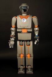 REEM-B humanoid robot.jpg