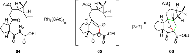 Scheme 13. Rhodium(II)-carbenoid-initiated cascade in the synthesis of a tigliane