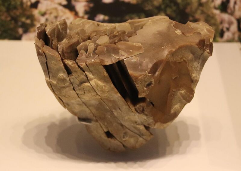 File:Stone Core for Making Blades - Boqer Tachtit, Negev, circa 40000 BP (detail).jpg