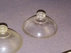 Suction cup 1.jpg