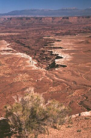 White Rim from Mesa Arch (3679553974).jpg