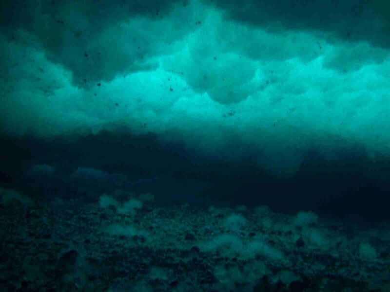 File:Anchor ice under sea ice.JPG
