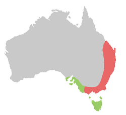 A map of Australia, showing the range of the yellow-tailed black cockatoo. There is a red region representing the range of the Eastern subspecies along the east coast and near-coast covering the bottom two thirds of the eastern coastline, and also the southern coastline and nearby regions to the north of Tasmania. A pale green zone representing the range of the Southern subspecies covers Tasmania and a part of southern coastline immediately to the west of the bottom of the red zone.