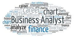 Business Analyst (BA).jpg