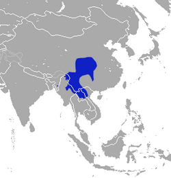 Chinese Mole Shrew area.png