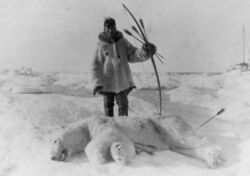 Eskimo hunter and polar bear slain with bow and arrow LCCN2005691848 (cropped).jpg
