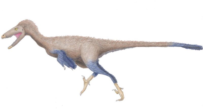File:Hand drawn Troodon.jpg
