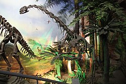 Mounted skeleton of a long-necked dinosaur