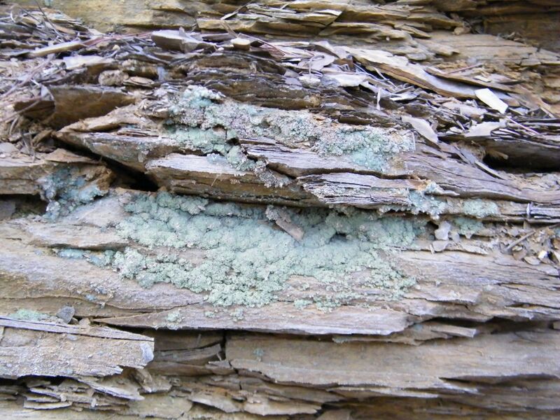 File:Melanterite2 - Copperas Mountain, Paxton Township, Ross Co, Ohio, USA.jpg