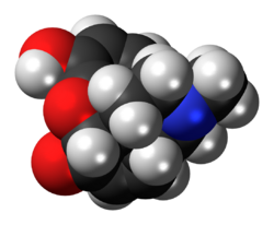 Morphinone molecule spacefill.png