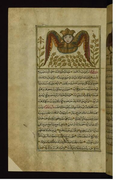 File:Muhammad ibn Muhammad Shakir Ruzmah-'i Nathani - A Soul Symbolized as an Angel - Walters W65944A - Full Page.jpg