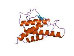 PDB 1hik EBI.jpg