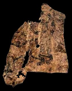Pazyryk-2 man, back and left arm (circa 300 BCE).jpg