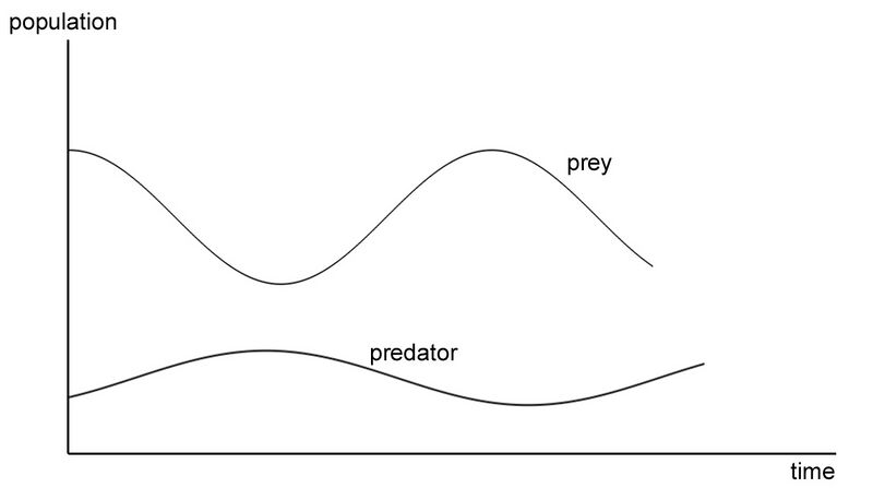 File:Predator prey.jpg