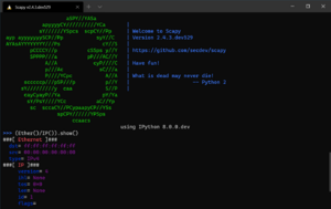 Scapy-2.4.3.png
