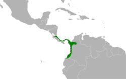 Leptotrygon veraguensis map.svg