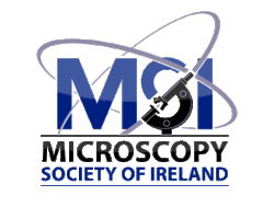 MSI logo.gif