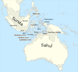 Map of Sunda and Sahul.svg