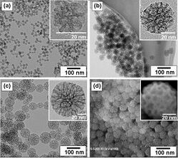 Mesoporous Silica Nanoparticle.jpg